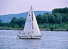 Segelboot bei Greifenstein, Donau-km 1951